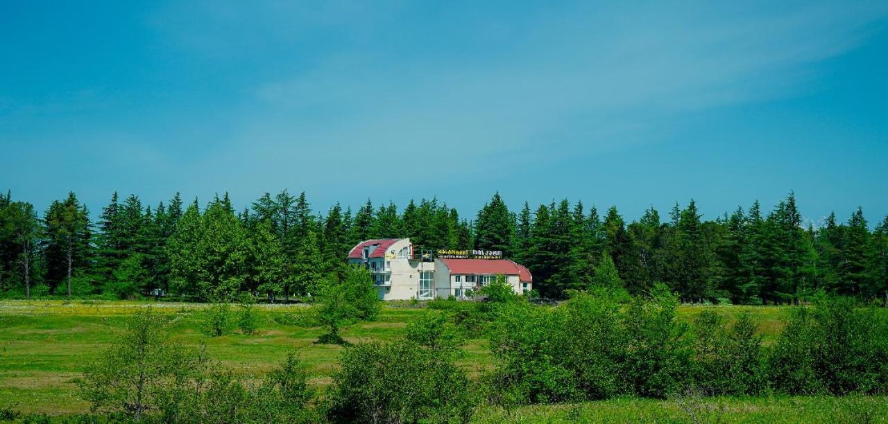 Hotel Tsiskari Ianet'i Exteriör bild