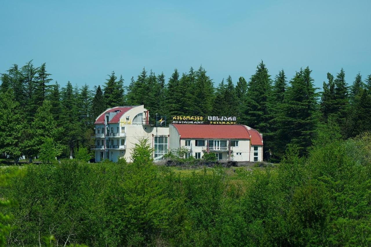 Hotel Tsiskari Ianet'i Exteriör bild